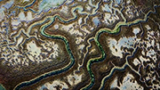 How Was Venice Built On a Marsh